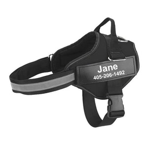 Aqua Pupper Personalized Harness